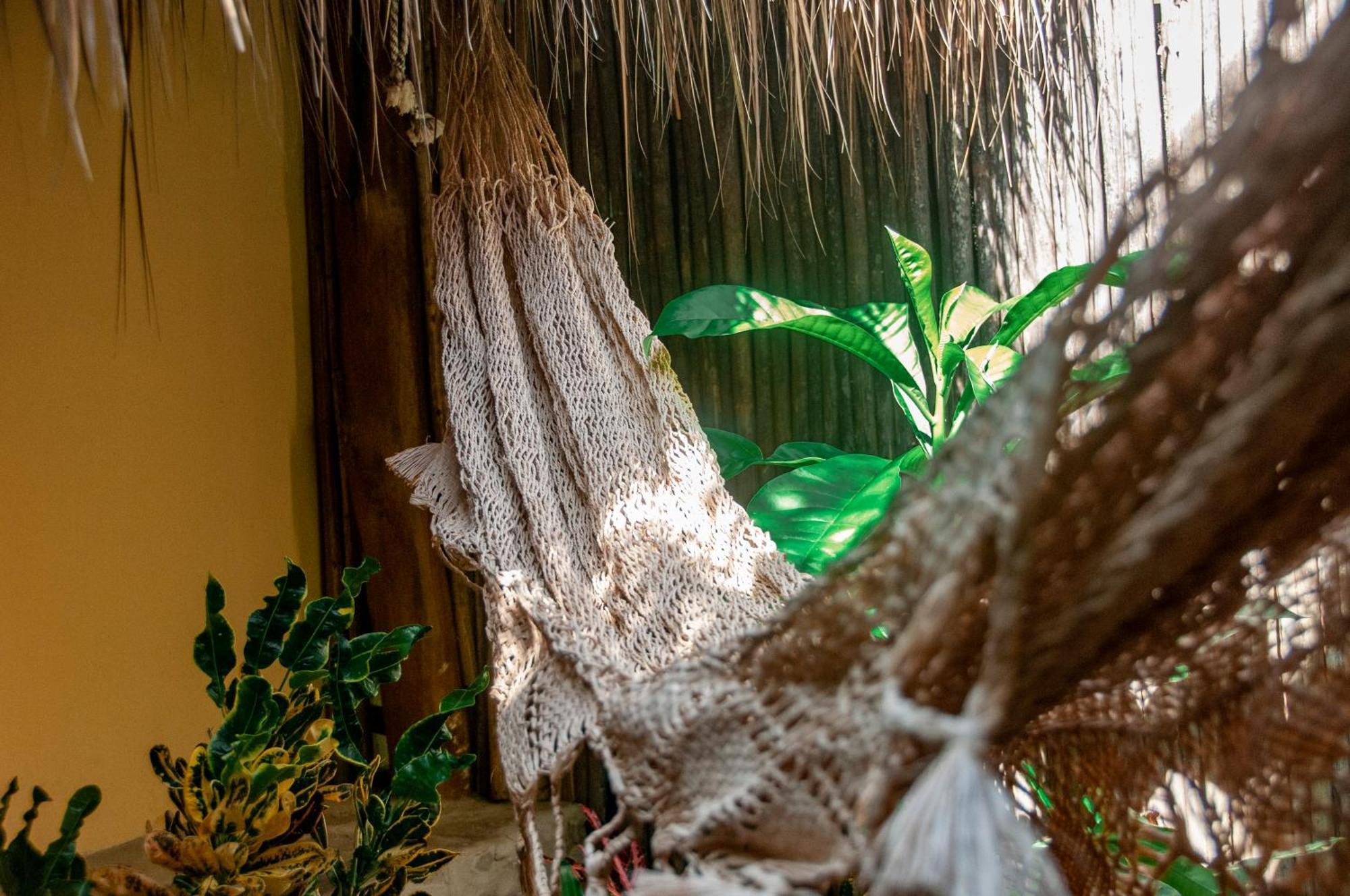Eco Xata Hotel ซานตาเวโรนิกา ภายนอก รูปภาพ